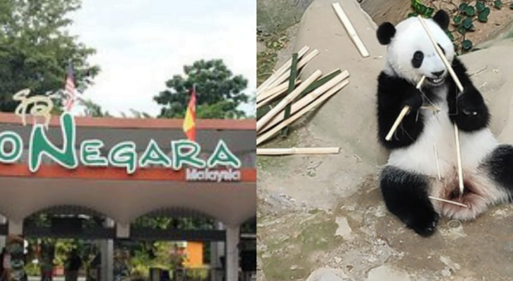 Zoo Negara Panda