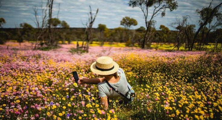Travel to Western Australia
