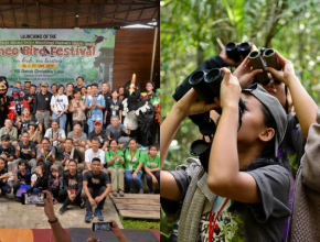 Borneo Bird Festival 2022 Is Back This 22-23 October In Sepilok, Sandakan
