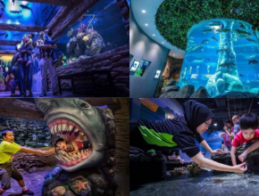 This Is The Most Interactive Aquarium In Melaka With Over 100 Species Of Fish