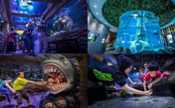 This Is The Most Interactive Aquarium In Melaka With Over 100 Species Of Fish