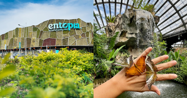 Buy Tickets To Entopia Butterfly Farm Penang From RM24 - Promo