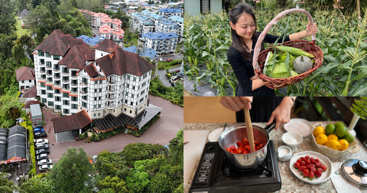 Experience Serenity At Hotel De'La Ferns, Cameron Highlands