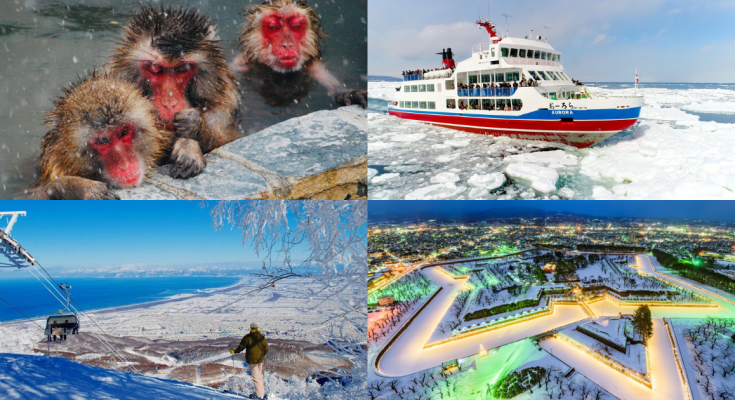 The Must-Visit Places In Hokkaido's Winter Wonderland