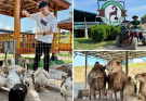 Escape The City And Reconnect With Nature At Aliyah Rizq Farm