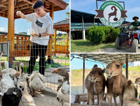 Escape the City and Reconnect with Nature at Aliyah Rizq Farm