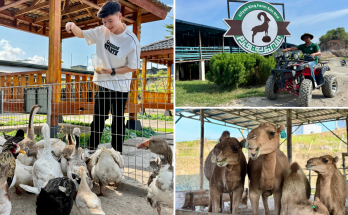 Escape the City and Reconnect with Nature at Aliyah Rizq Farm