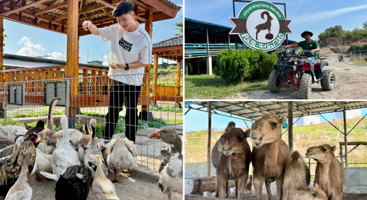 Escape the City and Reconnect with Nature at Aliyah Rizq Farm